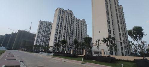 西安白羊佳苑最新爆料事件,揭秘小区突发事件的背后真相